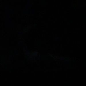 Meet your Posher, Jayde